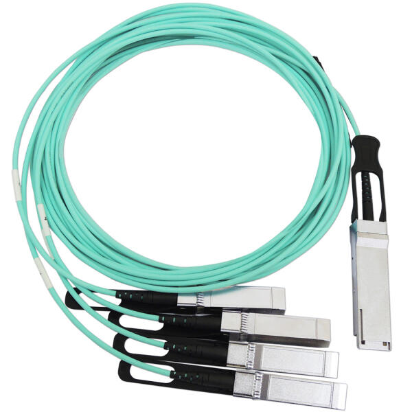 AOC (Active Optical Cable)