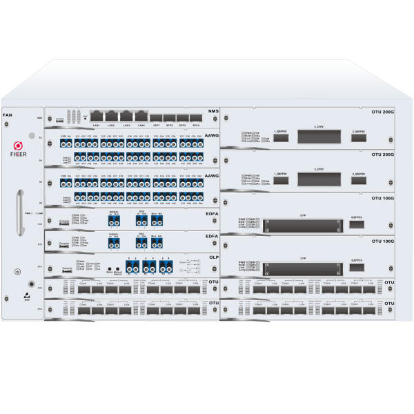 F520 5U 20-Slot Chassis